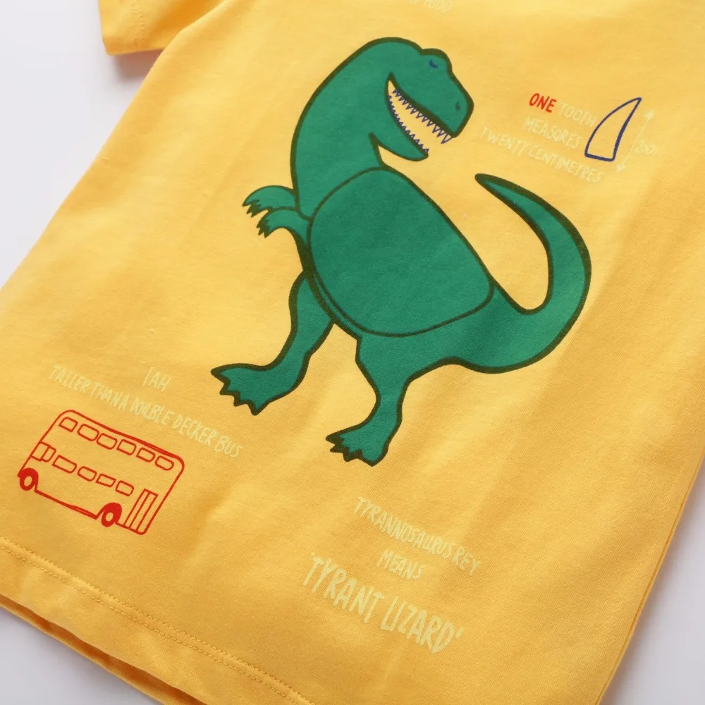 12832577273_29310100