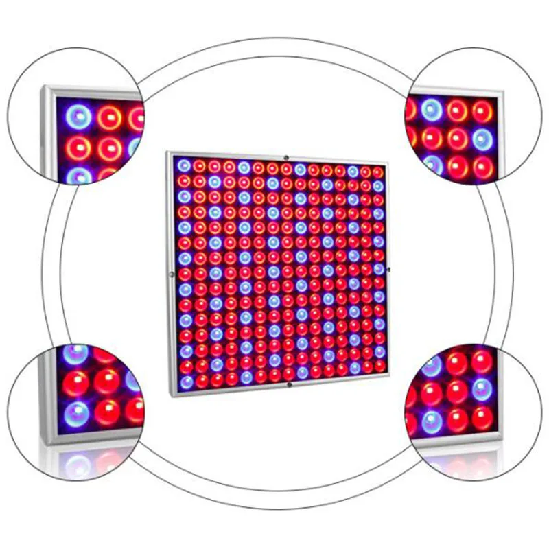 QQ截图20191130190537