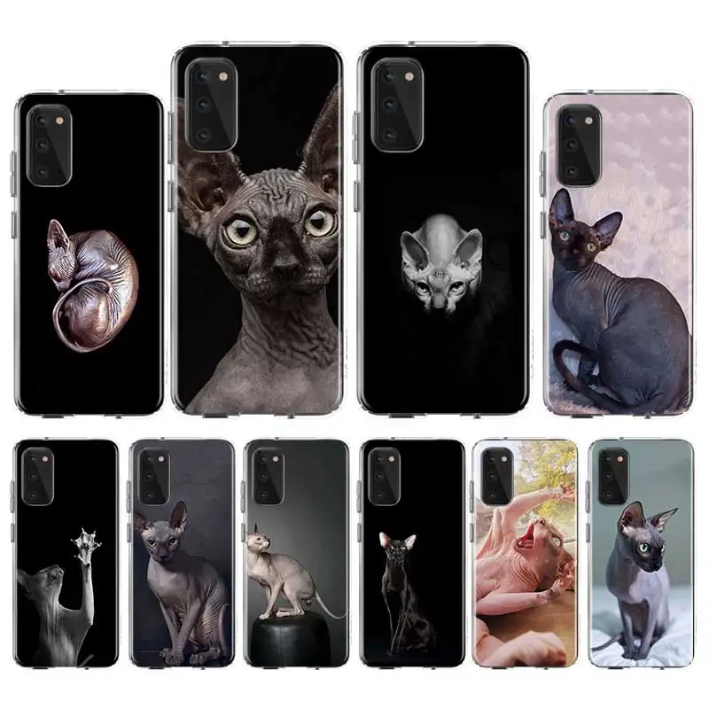 Чехол из ТПУ для Samsung Galaxy S10 S20 Ultra S9 S8 Plus S10e S7 Note 8 9 10|Бамперы| |