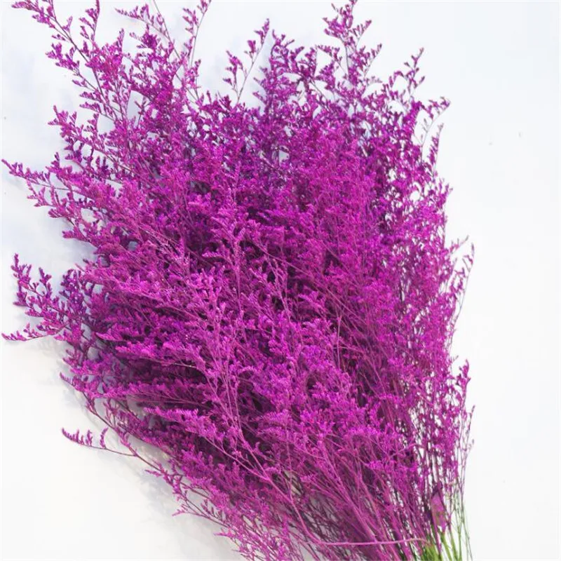 QQ截图20190806164841