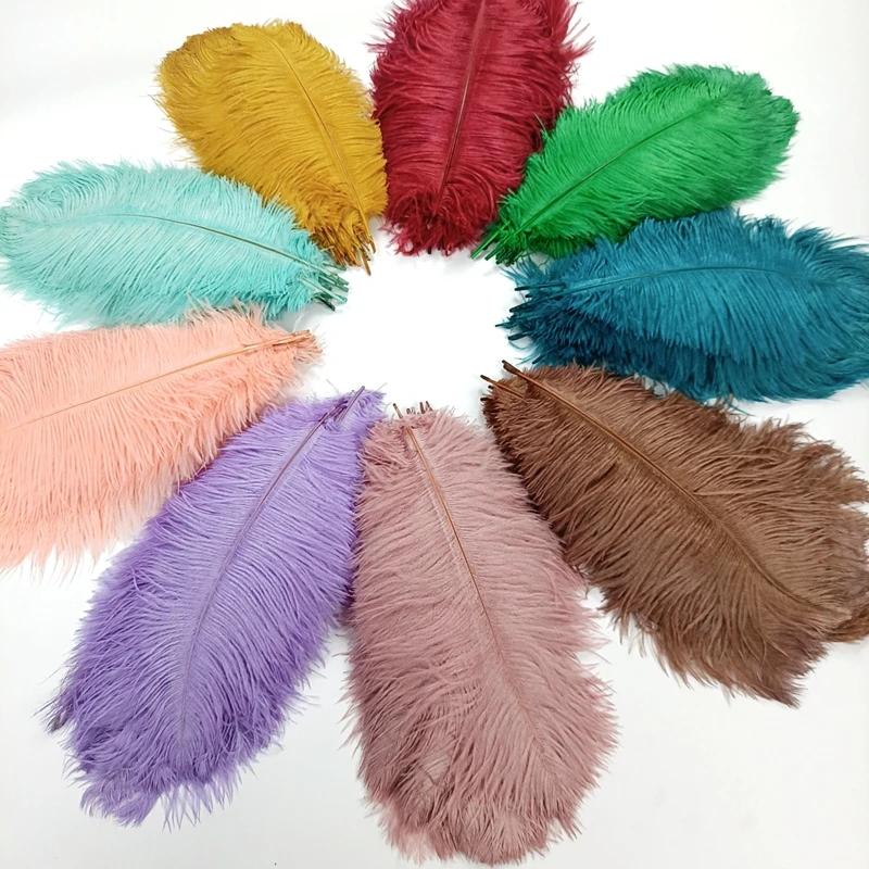 10Pcs/Lot New Colored Ostrich Feathers for Crafts Black Mint Pink Red Gold Feather Decor DIY Holiday Carnival Wedding Decoration