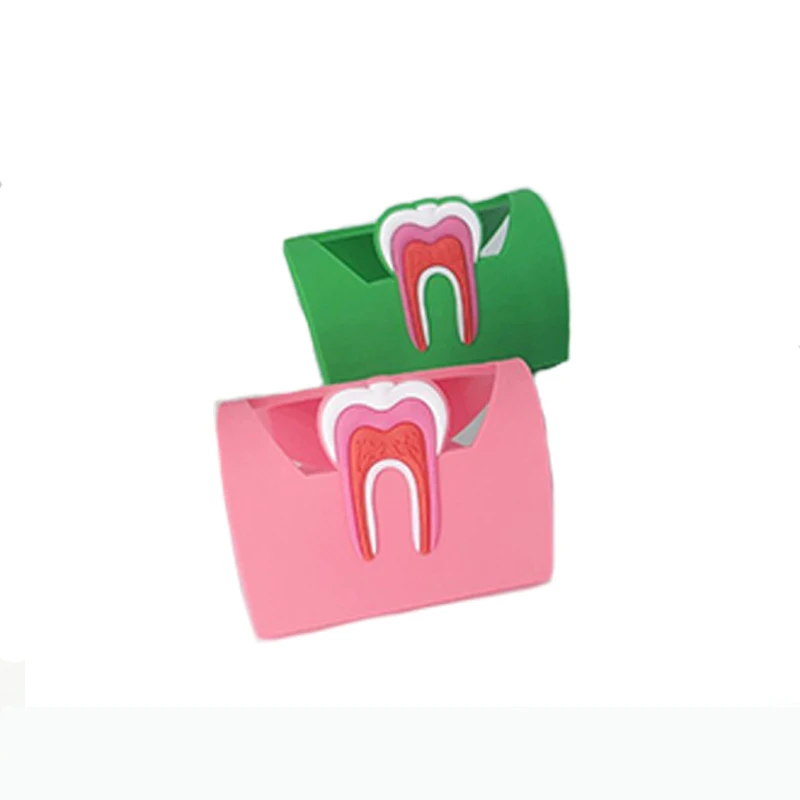 1pcs Dentist Gift Cute Card Holder For Dental Clinic Colorful Rubber Teeth Molar Shape Phone Card Name Storage Dsiaply Stand