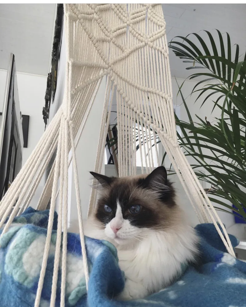 Cat Hammock Image 6