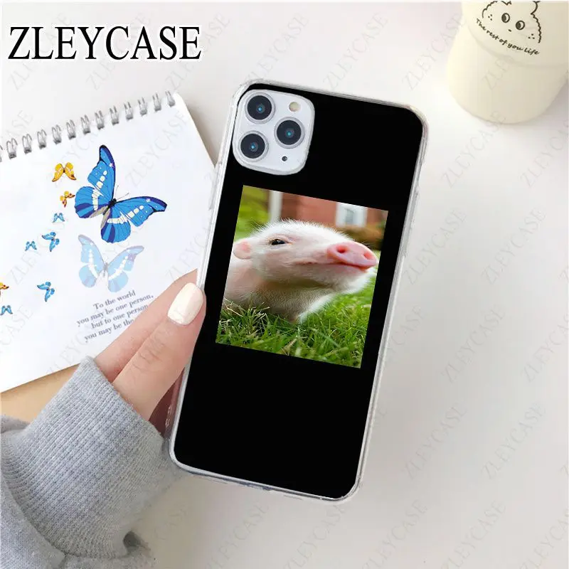 Cartoon funny Lovely Pink Pet Pig