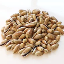 ¡30 Uds! Concha de mar Natural cuentas sueltas de hadas Caracol DIY joyería pulsera collar ornamento para vela mediterránea decoración del tanque de peces(China)