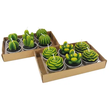 

12pcs/set Wedding Party Favors Birthday Anniversary Unscented Tealight Candles Home Decor Baby Cactus Events Plants Pot