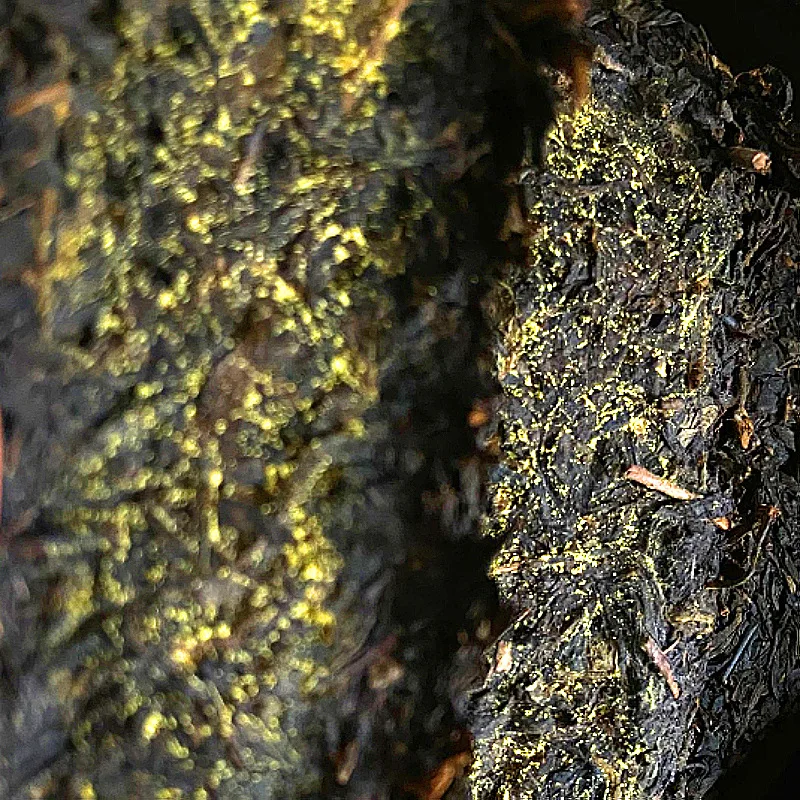 US $42.92 2012 Hunan Jin Hua Fu Zhuan Cha Golden Flower Fu Brick Tea Black Tea For Warm Stomach And Clear Heat