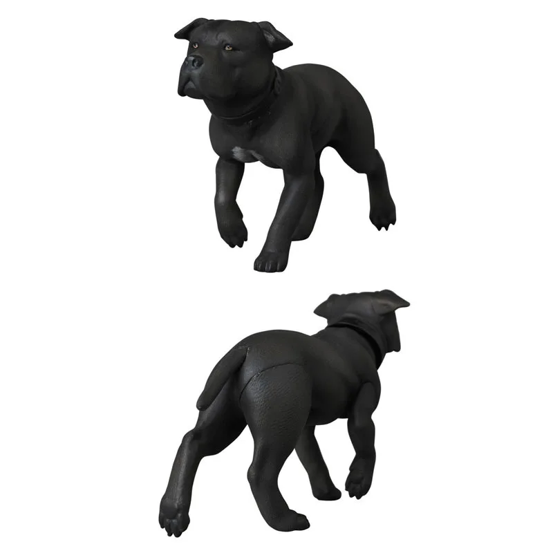 12202875589_1853839818