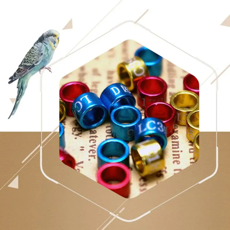 Anillo con forma de pata de pichón para aves de corral, 50 Uds., anillo con Clip de loro, banda para pie, artículos para Paloma, aparatos para pájaros amorosos
