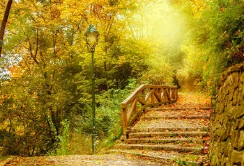 

Autumn scenic background Photography Halloween fotografia digital Photo backdrop for Photographer Studio kit accessories lv-2168