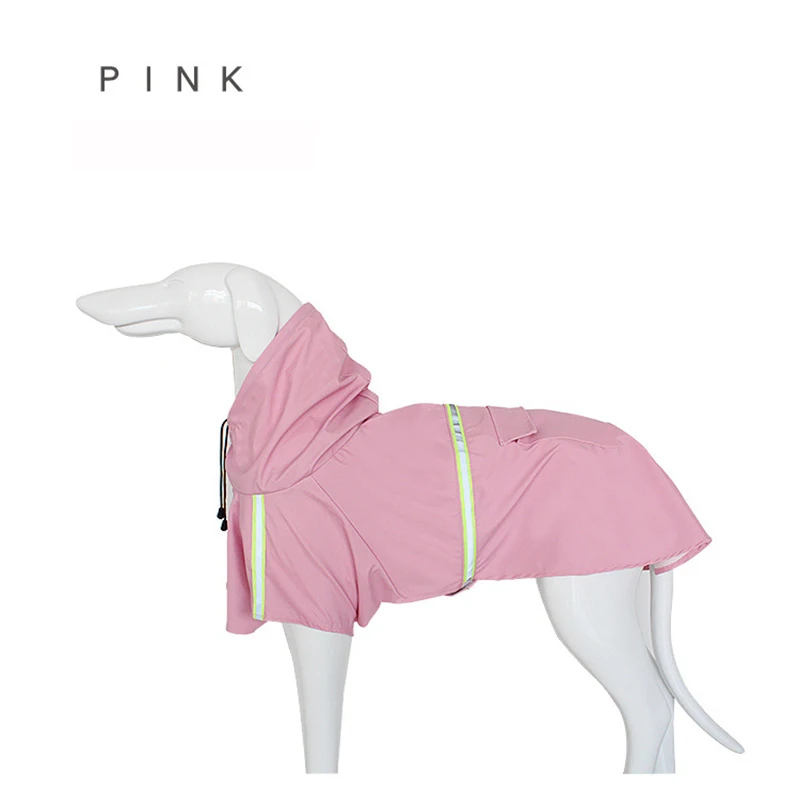 15520206969_1877549386