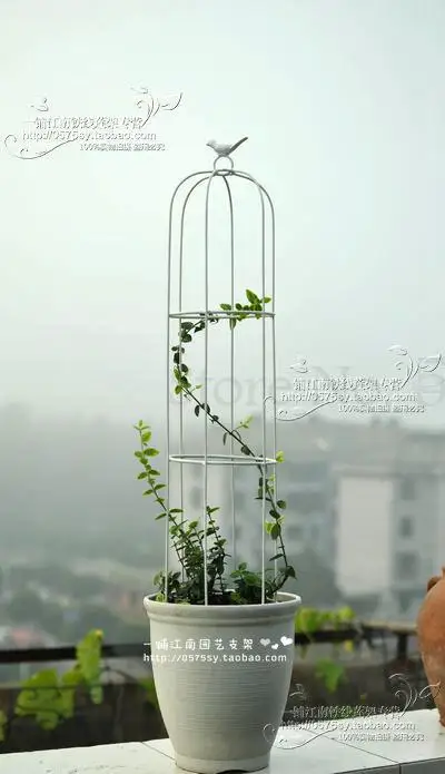 clematis специальный открытый цветок стенд растение альпинистская рама подходит для 15 см 1 галлоновый горшок
