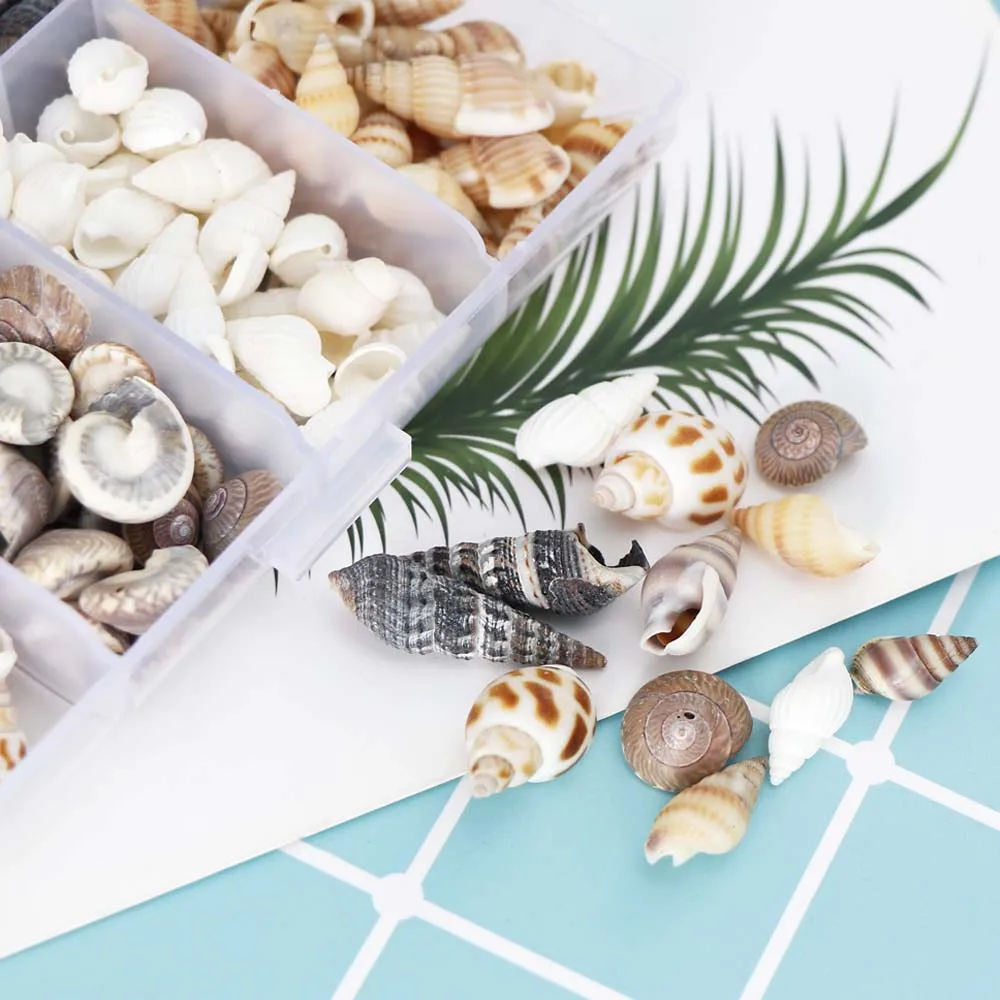 1 коробка, природа, Микс, стиль, пляж, мода, ракушки, морские ракушки для DIY Caft, Декор, ювелирные изделия, ремесло, аксессуары, отверстия, ракушка, шарм, ногтей Sh