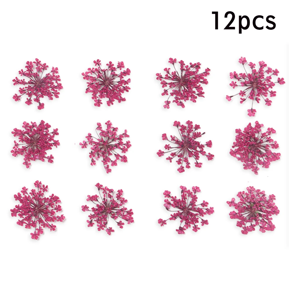 12/шт прессованный высушенный набор цветов, подвеска для растений, аксессуары для рукоделия, искусственные настоящие цветы для украшения дома, вечерние украшения - Цвет: 12