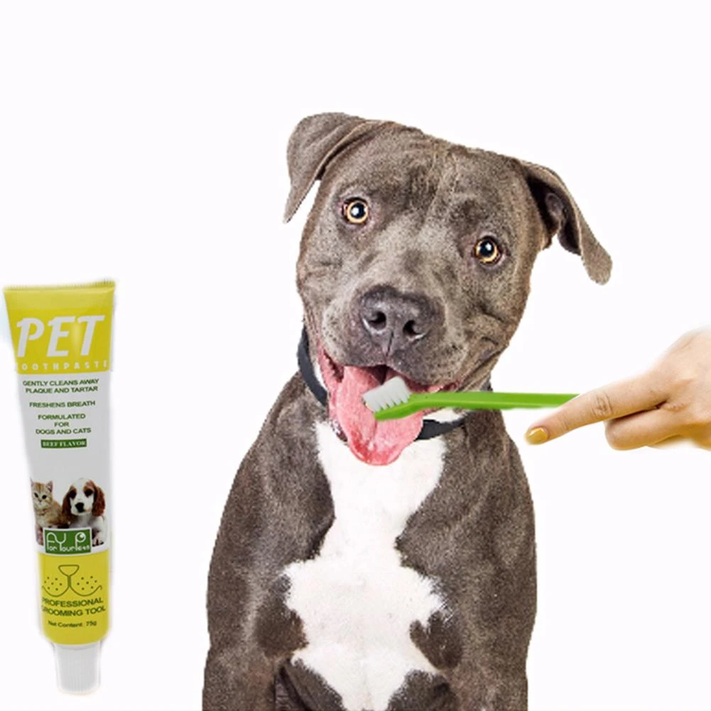 healthy snouts toothbrush
