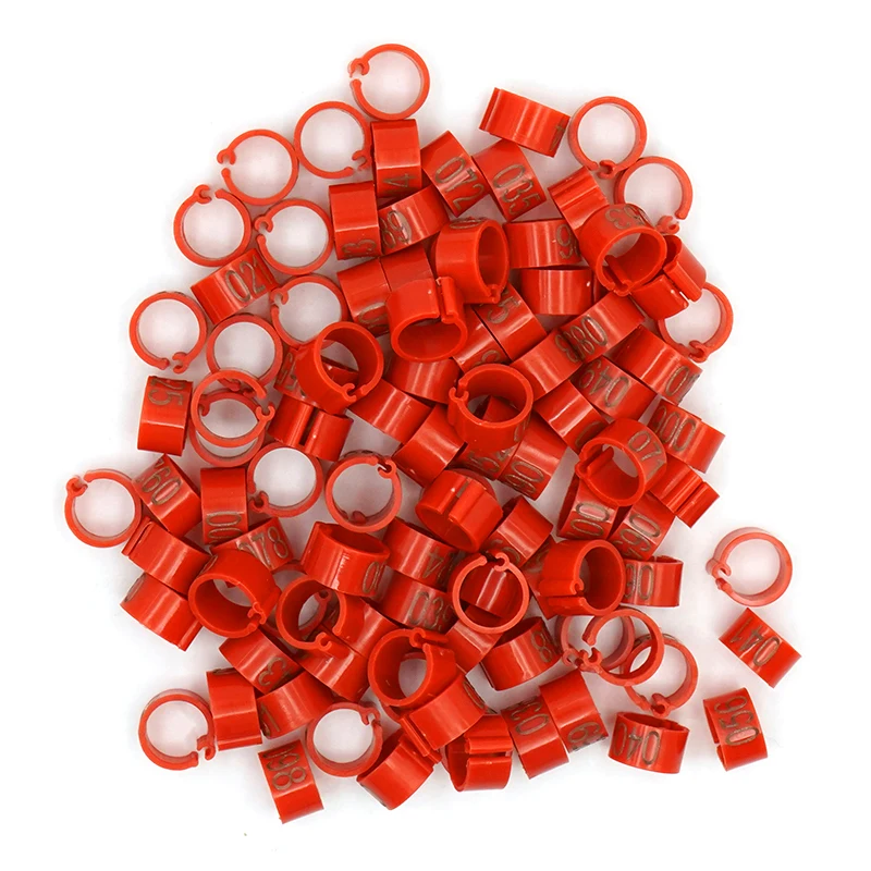 100Pcs Pigeon Birds Foot Rings with Words Numbers Colored Foot Ring Bird Poultry Dove Quail Training Supplies Poultry Tools - Image 4
