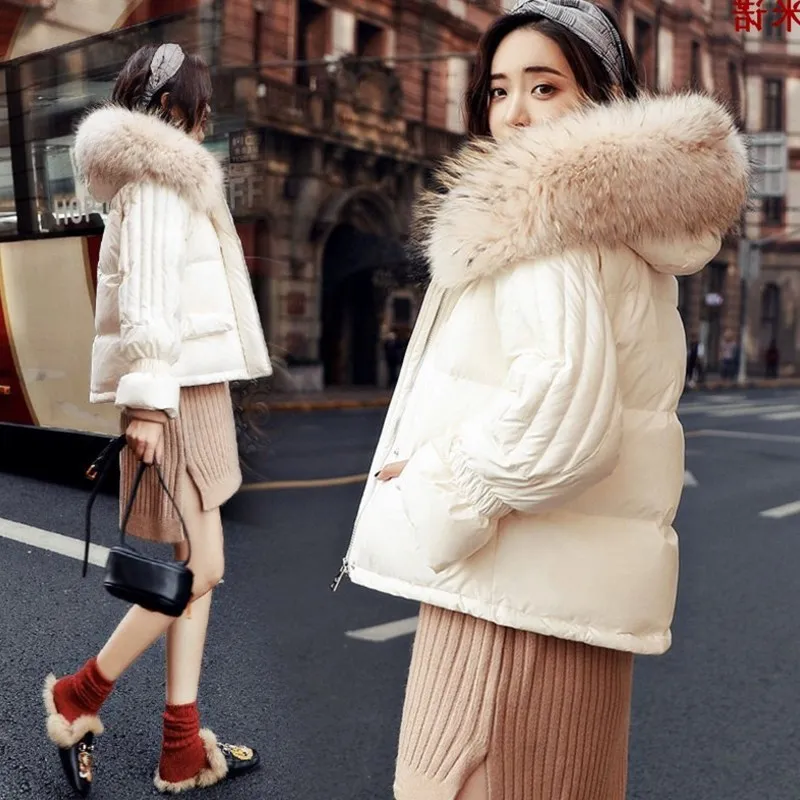 

Women's short-style down jacket with big Plush collar