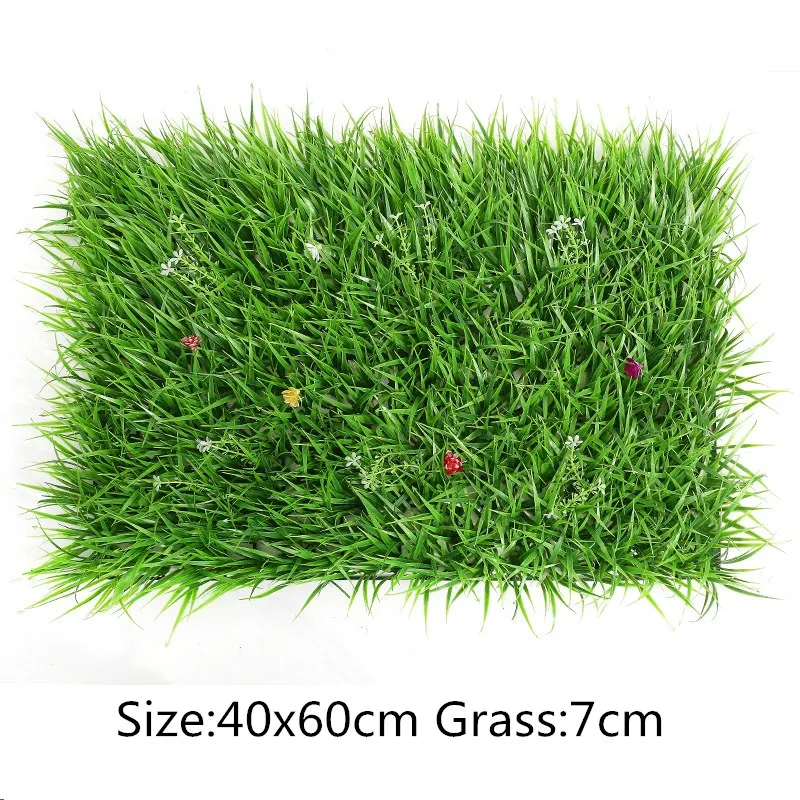 10999814827_830579201