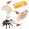 Lot of 4 Nature Bee Growth Cycle Child Education Learning Teaching Toys，Realistic 5
