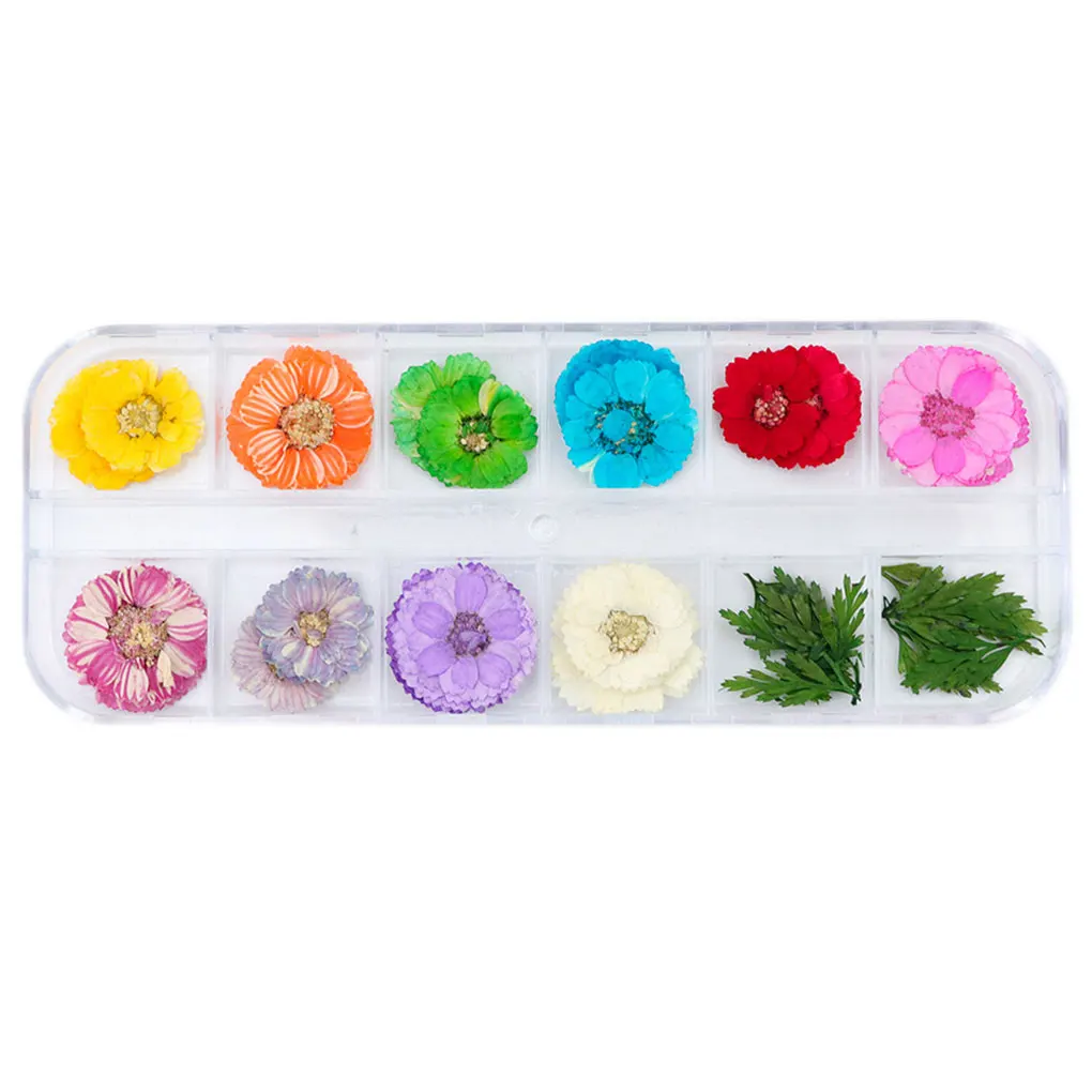 12 Grid Nail Art Nature Dry Flowers Set Gel Polish Tip 3D DIY Floral Slices Decal Manicure Pedicure Decoration - Цвет: NO.5