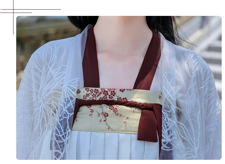 Hanfu китайские танцевальные костюмы Qing платья древняя принцесса шезлонг платье для женщин Традиционный китайский народный танец одежда DL4465