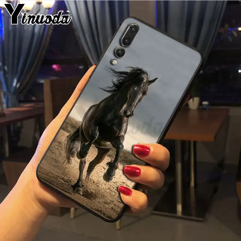 Hot running Horses animal