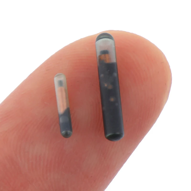 125 кГц/134 2 кГц 12*12 мм/1 25*7 мм микрочип животных RFID тег с EM4305 чип ISO11784/5 FDX-B для рыб