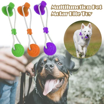 

Multifunction Pet Molar Bite Toy Chew Resistant Suction Cup Style Dog Ball Toy DTT88