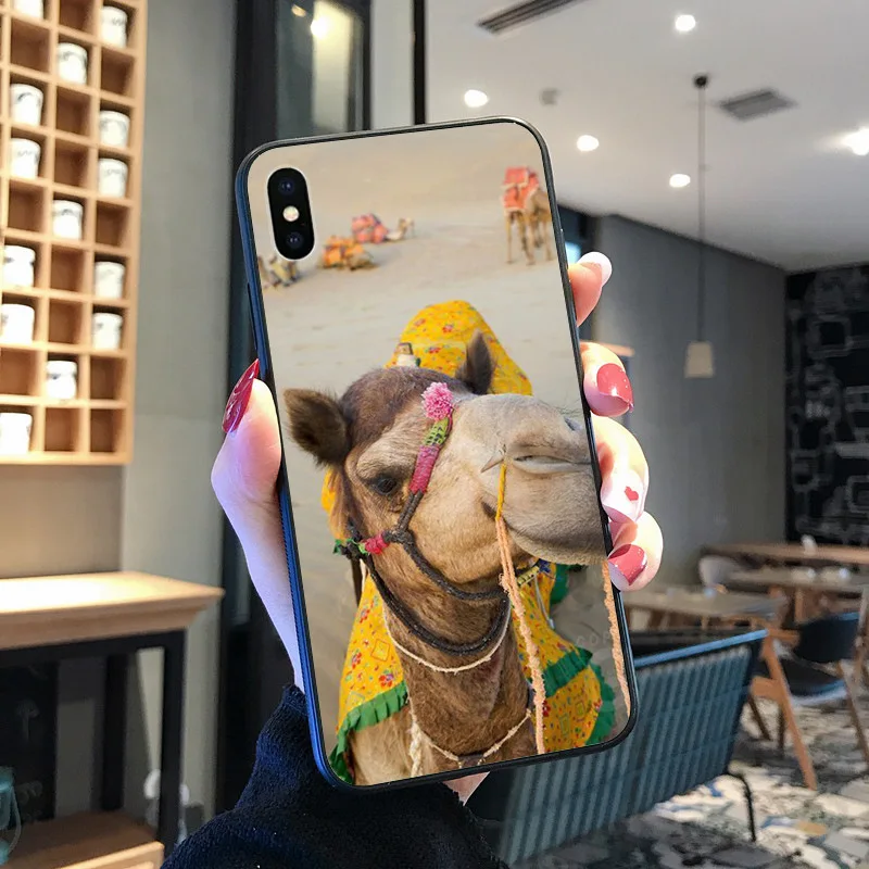 Hewan Unta Lucu Berwarna-warni untuk iPhone 8 7 6 6S Plus X XS MAX 5 5S SE XR 11 11pro Promax Ponsel