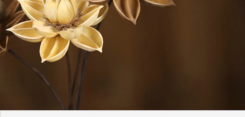 1 шт. 55 см сушеные цветы каналы Тайваня украшения дома свадебные украшения вечерние декоративные цветочные ветвь цветка центр штук