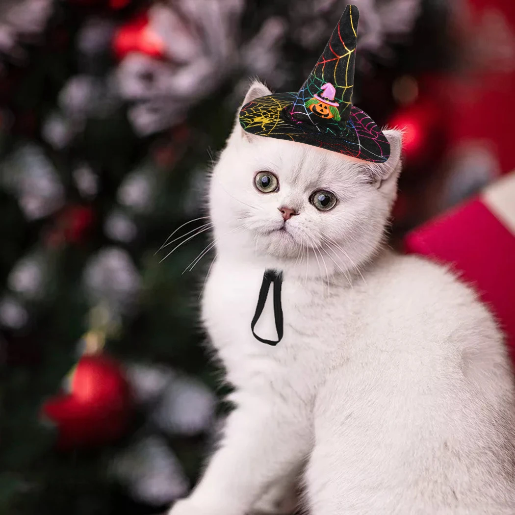 Забавный милый костюм для домашних животных косплей звезда тыква летучая мышь