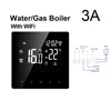 WiFi WaterGas Boiler