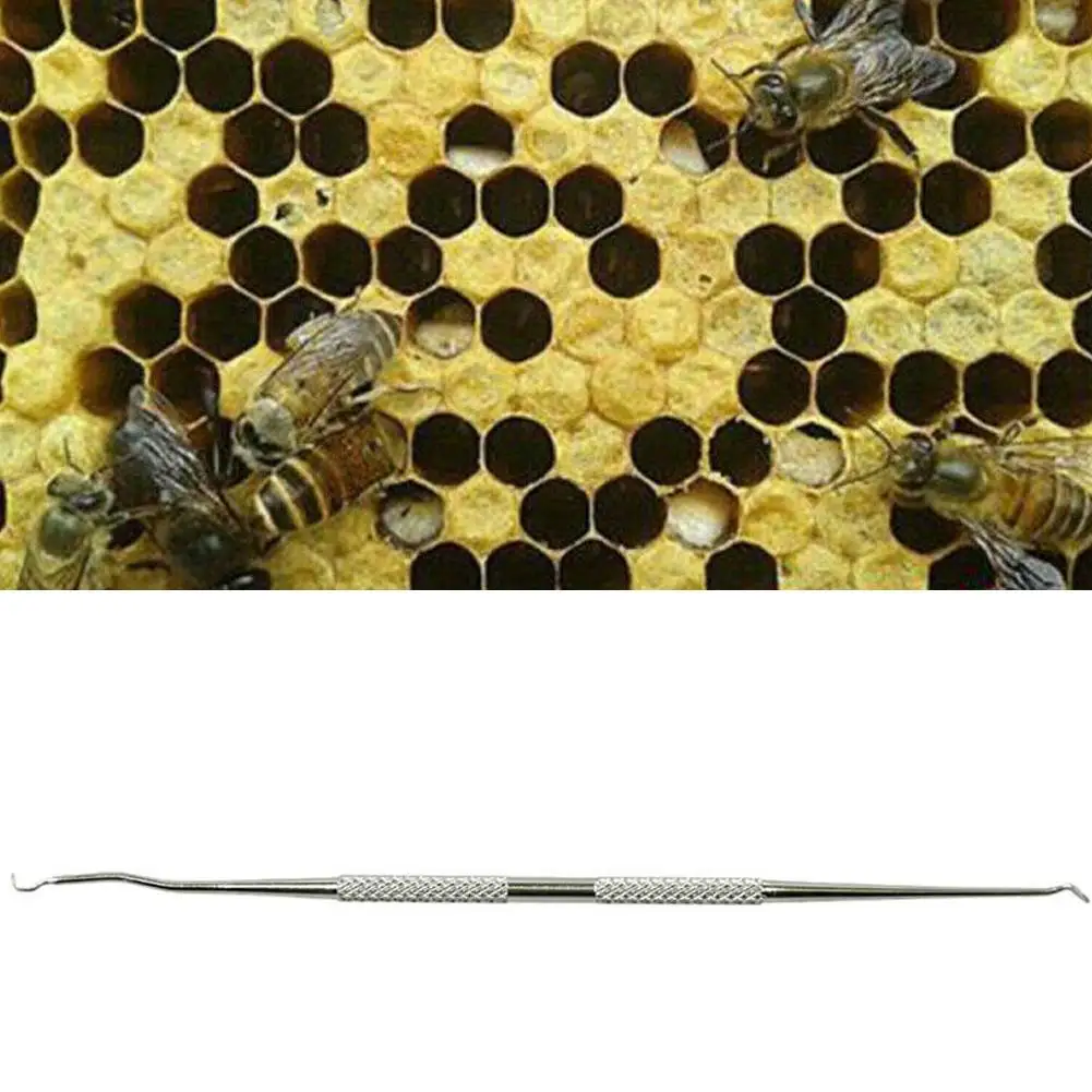 Игла для пчеловодства Queen Rearing инструмент прививания из нержавеющей стали с