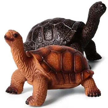 

2 Kinds Tortoises Animal Figure Collectible Toys Sea Animal Cognition Action Figures Kids Plastic Model Toys