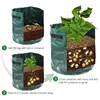 Potato Grow Bag PE Vegetable Onion Plant Bag with Handle Thickened Garden Carrot Taro Peanut Growing Bag ► Photo 3/6