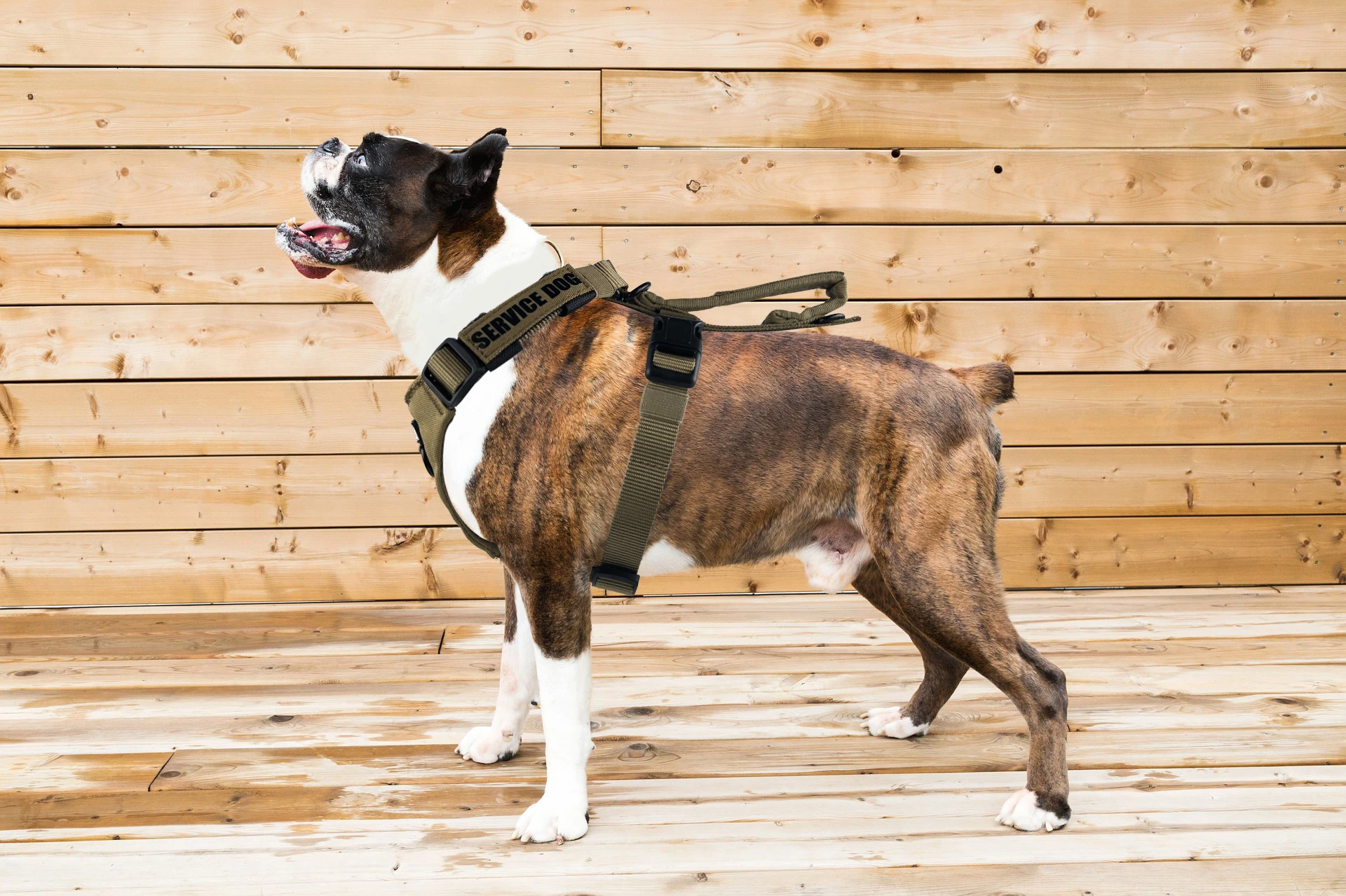 gemeenschap Ijver Zuiver Geen Pull Hond Harnas Front Clip Heavy Duty Gemakkelijk Controle Handvat  Voor Grote Hond Wandelen|Harnas| - AliExpress