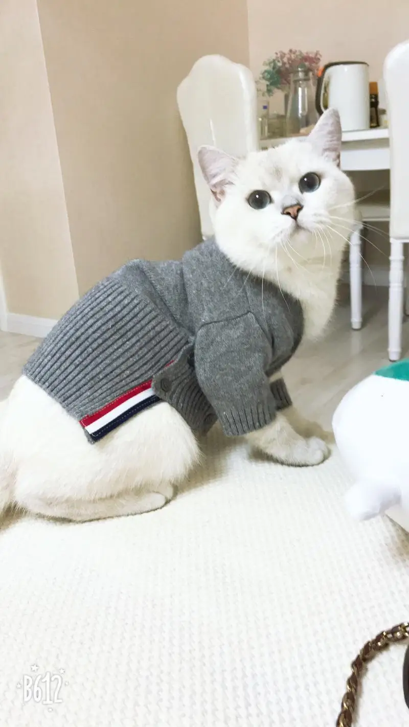 O1CN011fk1z41ijEBevEj88_2844