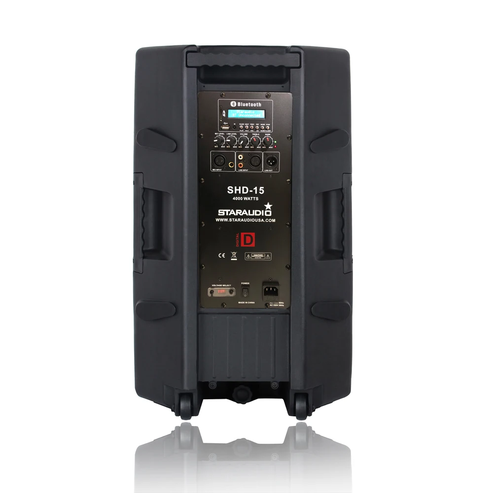 active speaker for stage party