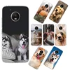 Mobile Phone Accessories