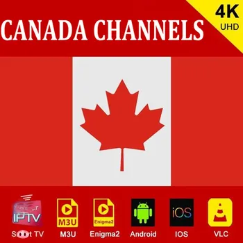 

canada IPTV subscription XXX M3U IPTV code GSE enigma for Android box Enigma2 IOS smart PC Smart TV sport