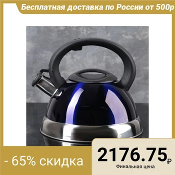 

Teapot 3 l with a whistle "Brig", blue