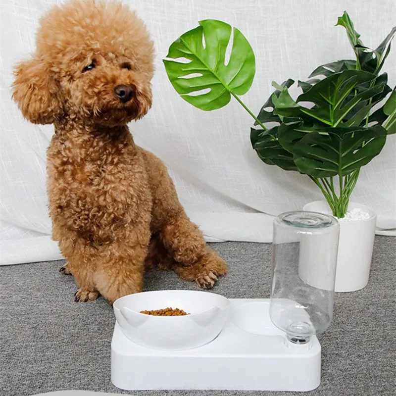 

Dog Automatic Drinker Cat Drinking Water Pet Neck Protector Drinker Automatic Refill Double Bowl Dog Bowl Cat Bowl