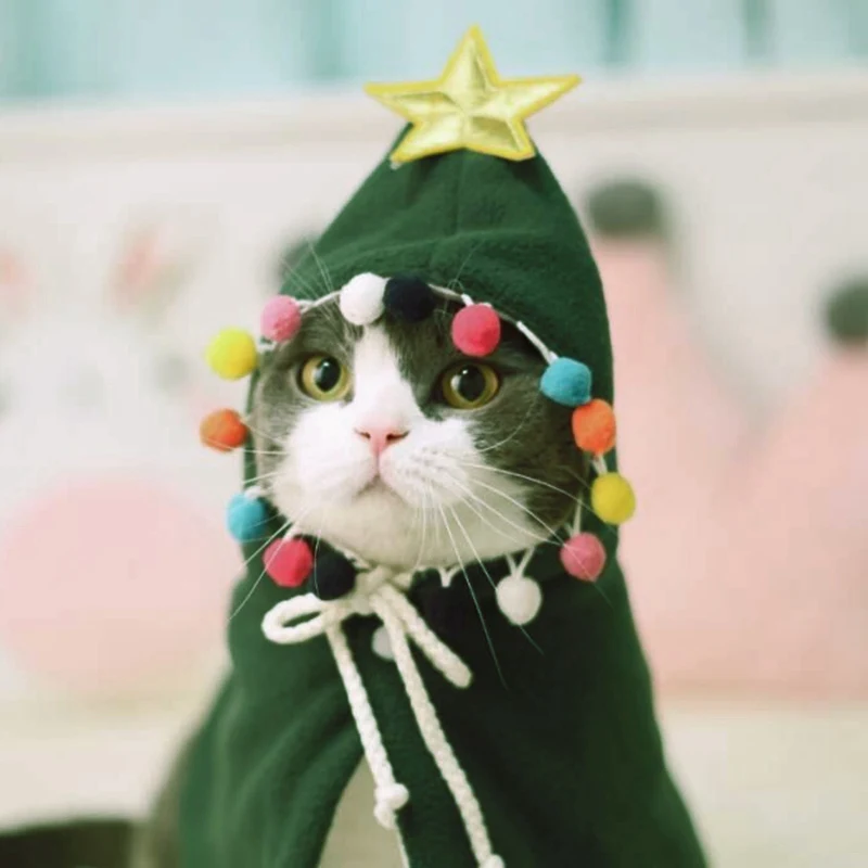 cat christmas outfit