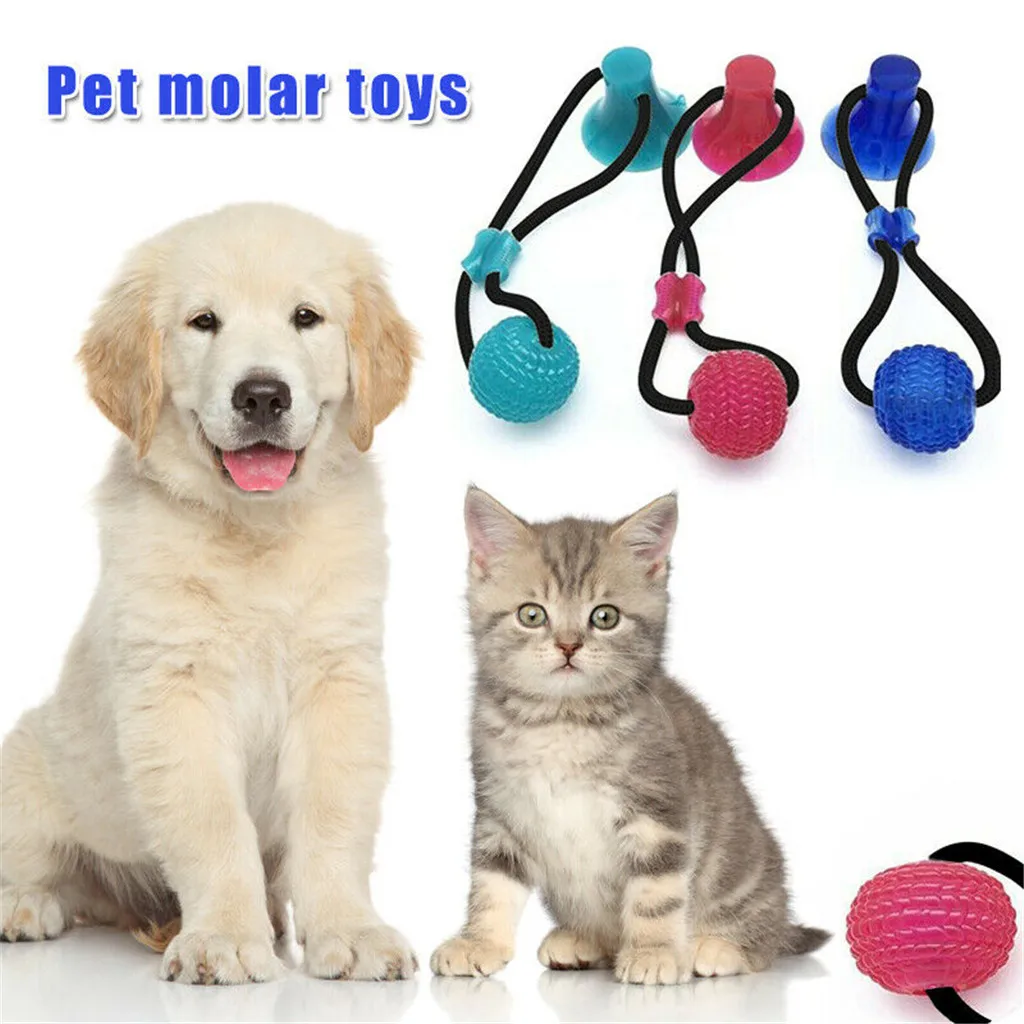

Multifunction Interactive Pet Molar Ball Chew Toy With Suction Cup Dog Toothbrush Cleaning Teeth Safe Elasticity for Dog Puppy