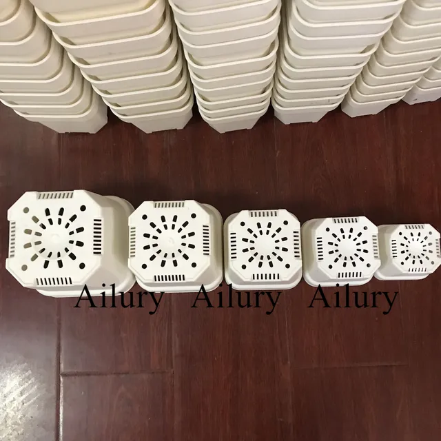 Négyzet Alakú Műanyag Kerek Vastag Zamatos Kis Fekete Növényi Virágcserepek, Fehér Zöld Ültetvények Cserepes Kert Bonsai Tartály - Image 6