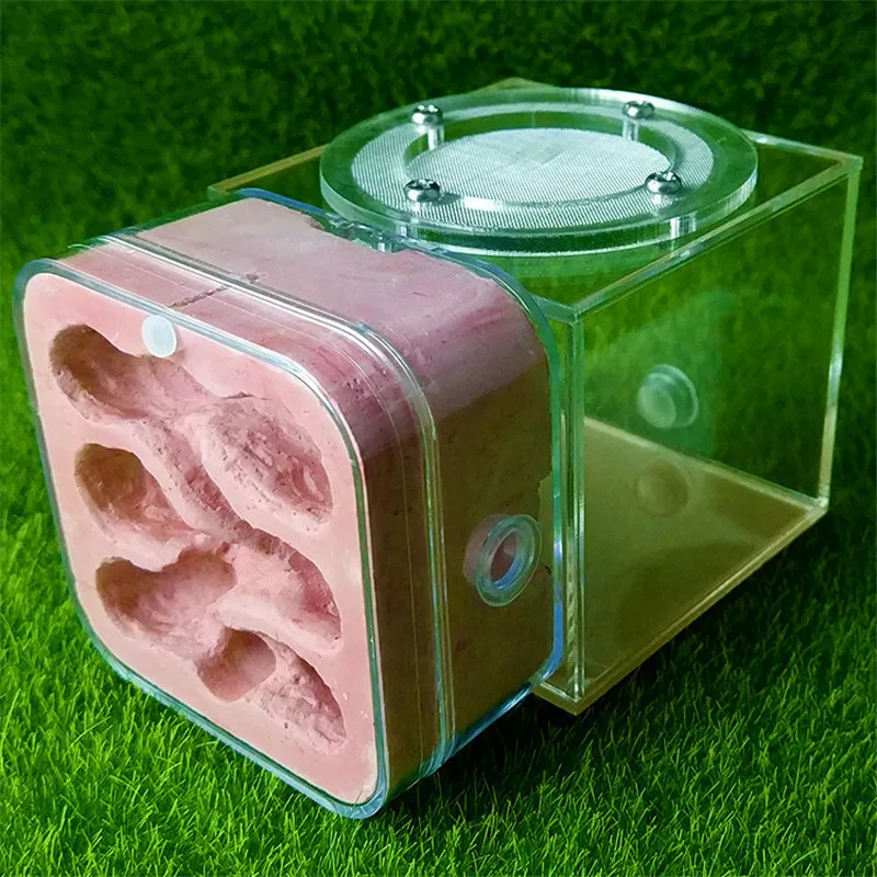 Mini Plaster Ant Nest Acrylic Ants Farm Kids DIY Educational Toys Pet Ants Insect Cages Children Birthday Gifts Anthill House (M (4)