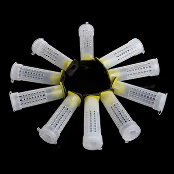 

10 Set Beekeeping Rearing Cup Kit Bee Queen Cages Roller Beekeeper Equipment Tool