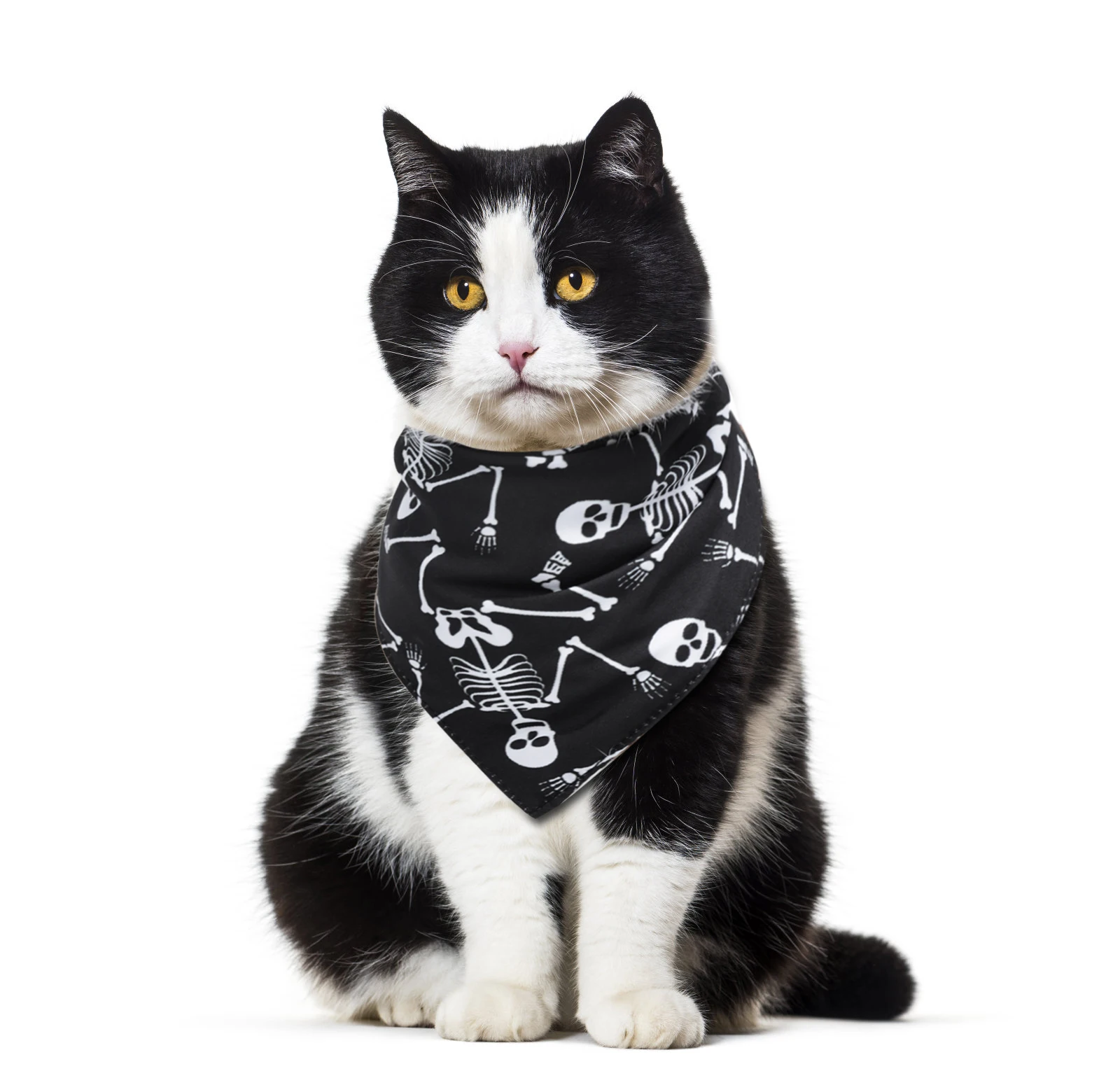 Бандана для животных креативная мультяшная печать Pet Bib треугольная бандана для кота собаки домашнего животного Одежда Аксессуары для украшение на празднование Хэллоуина