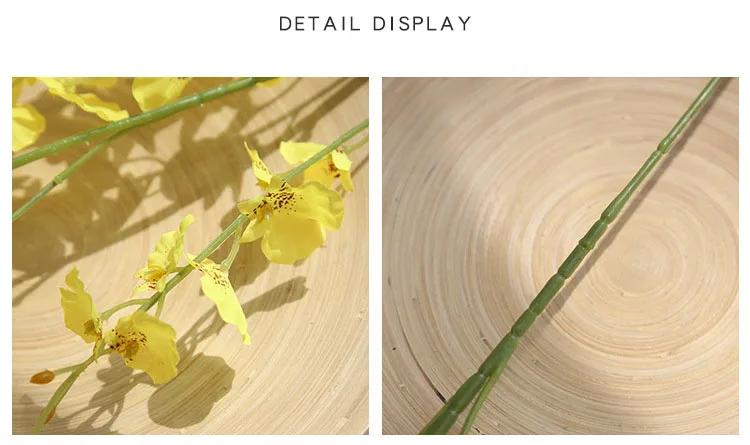 8694050985_1885843273