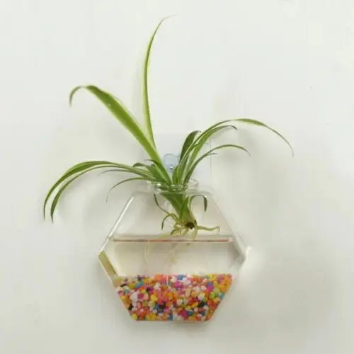 Настенная подвесная стеклянная ваза гидропоники Террариум аквариум растение цветочный горшок Декор